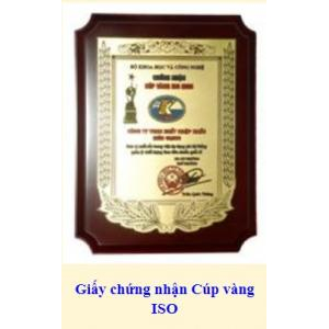 Thành tích công ty đạt được qua các năm từ 2000 - 2009